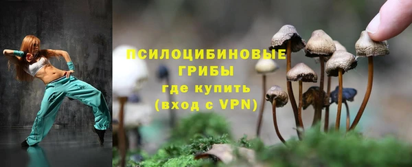 дурь Алексин