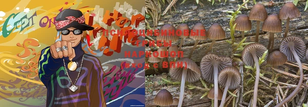 дурь Алексин