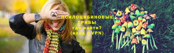 MDMA Алексеевка